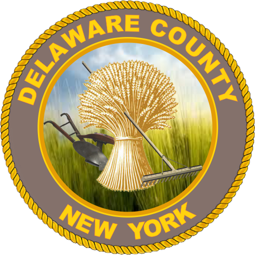 Delaware Social Services Department