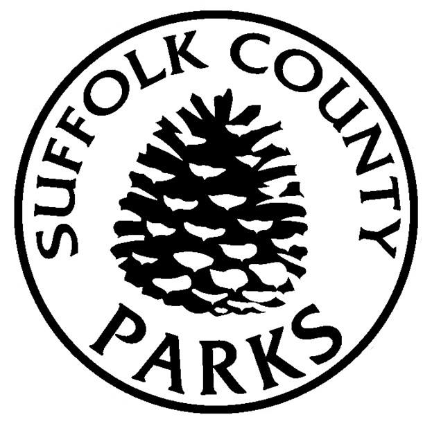  Department of Social Services Suffolk County