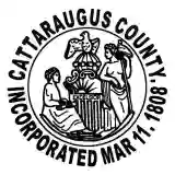 Cattaraugus County IG